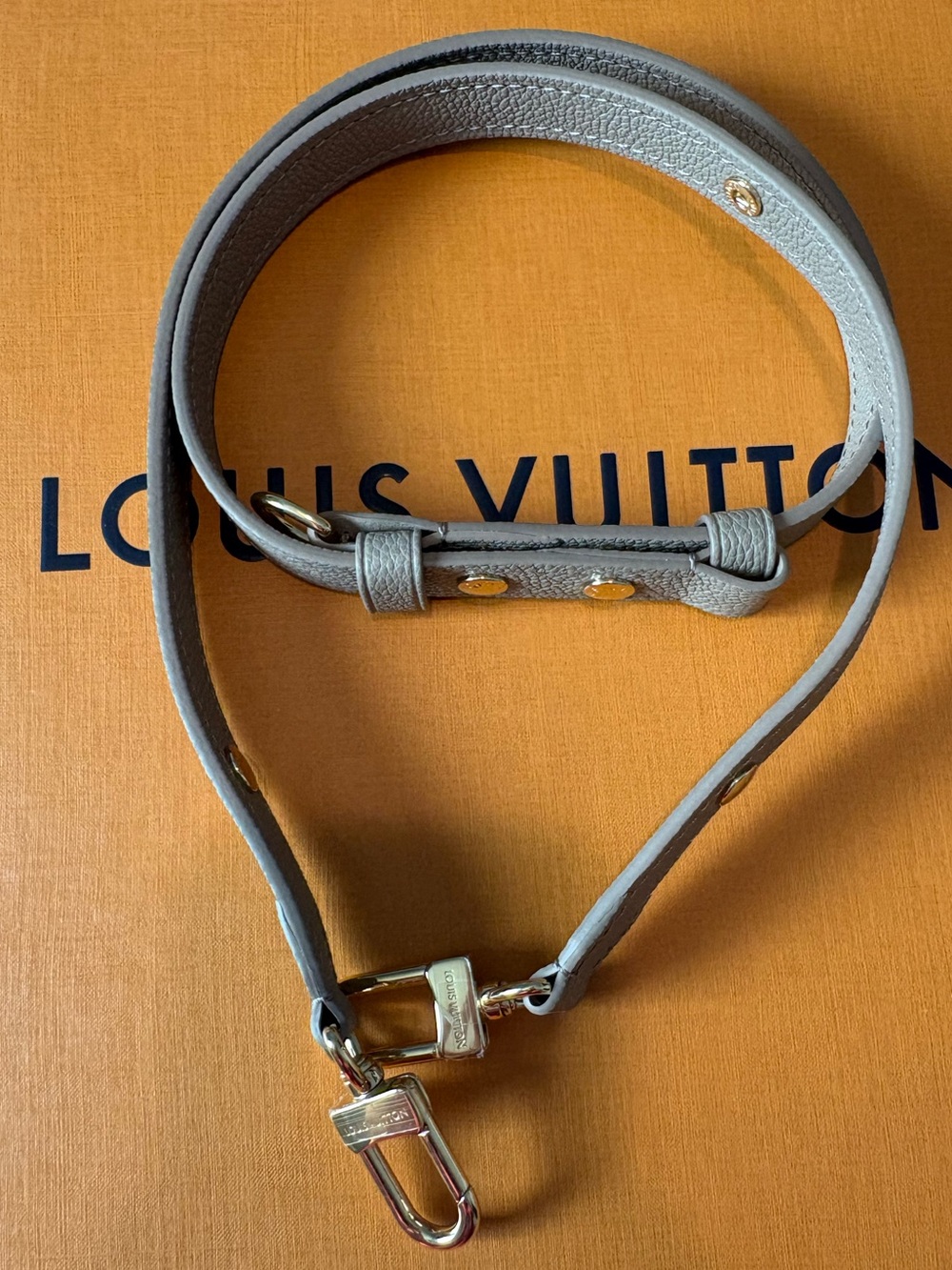 Louis Vuitton Dove Gray Leather Shoulder Strap